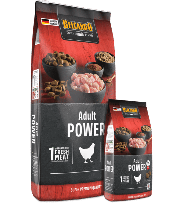 Belcando Adult Power - Eddie Croquettes