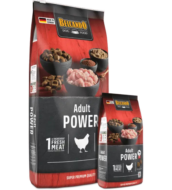 Belcando Adult Power - Eddie Croquettes