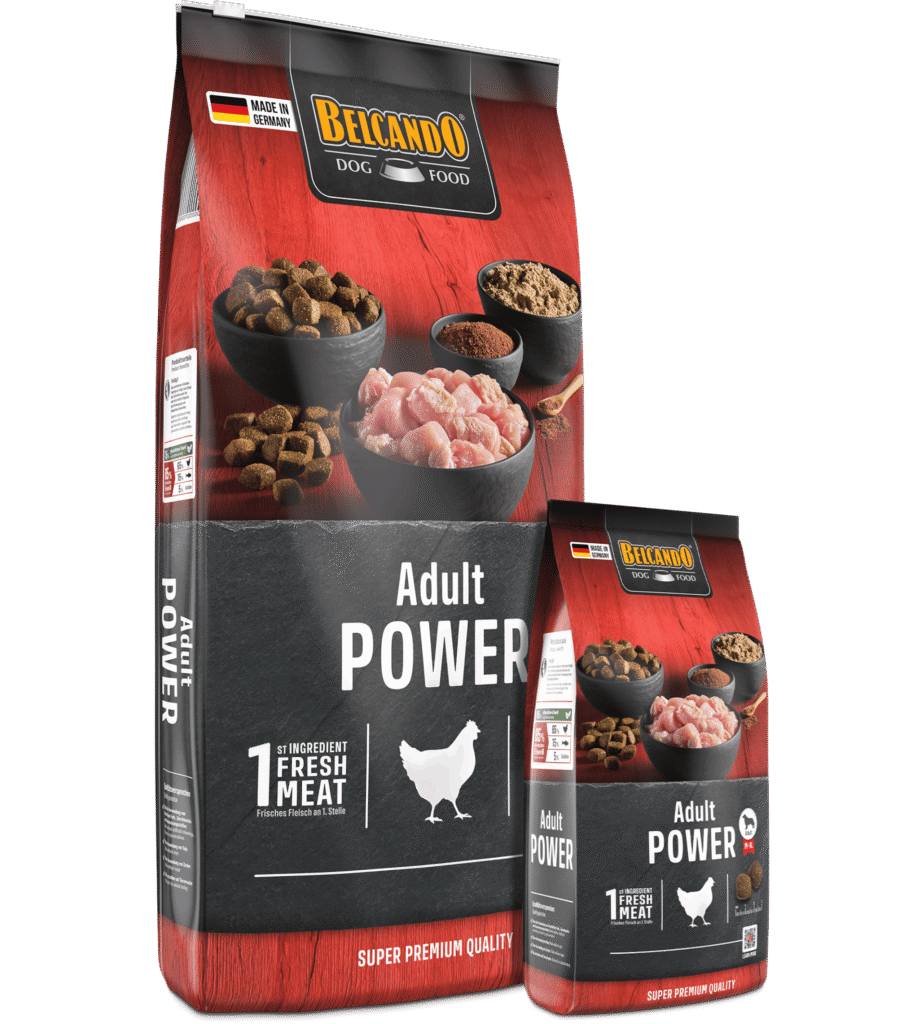 Belcando Adult Power - Eddie Croquettes
