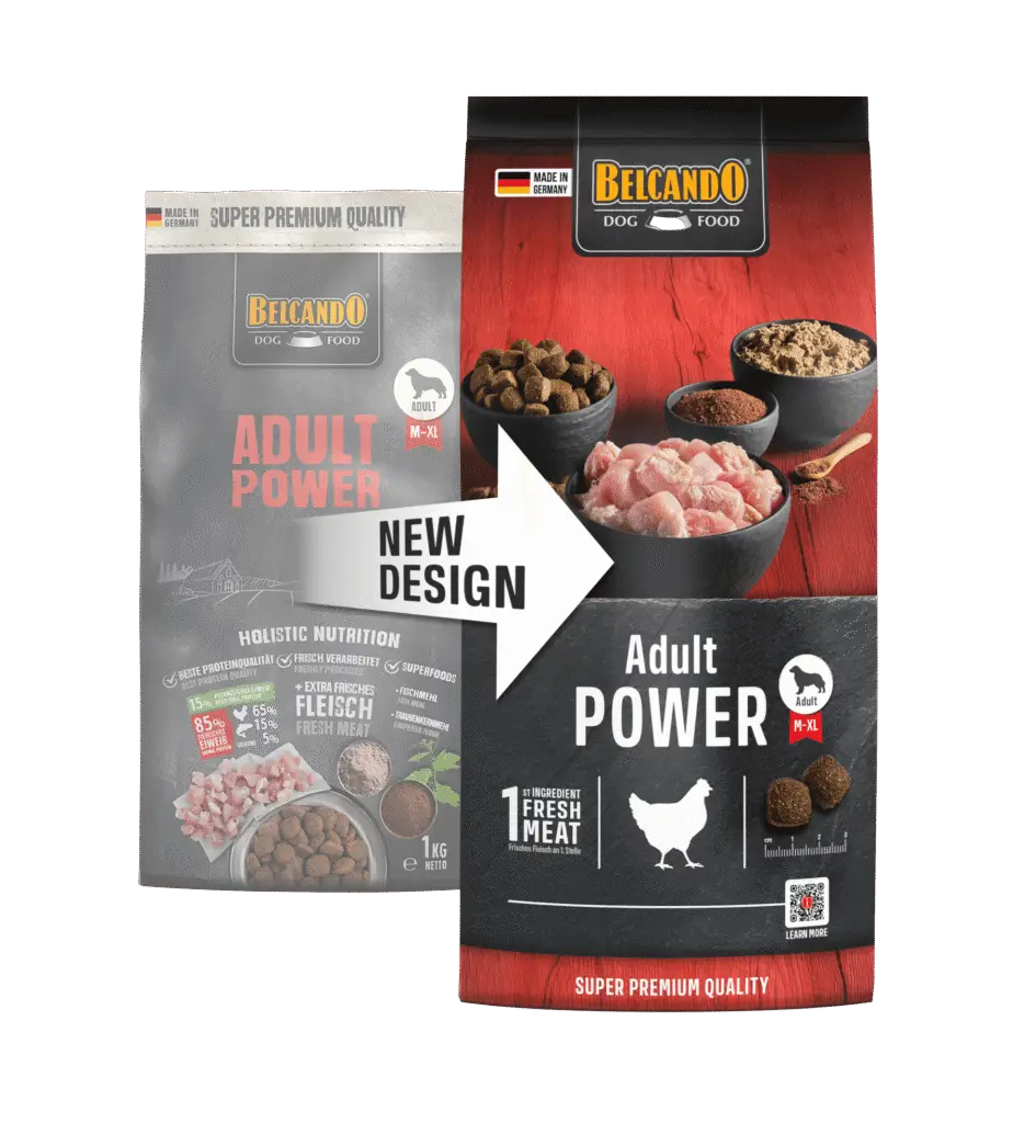 Belcando Adult Power Nouveau Design