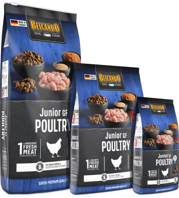 Belcando Junior GF Volaille Nouveau Packaging Trio