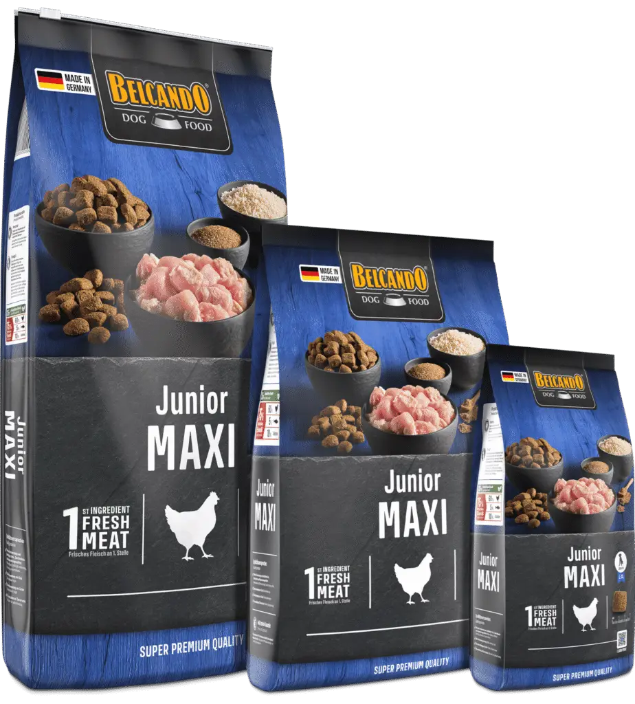 Belcando Junior Maxi Nouveau Packaging Trio