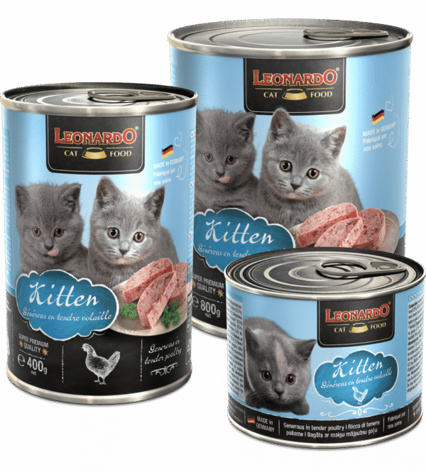 Leonardo Boîte Kitten trio