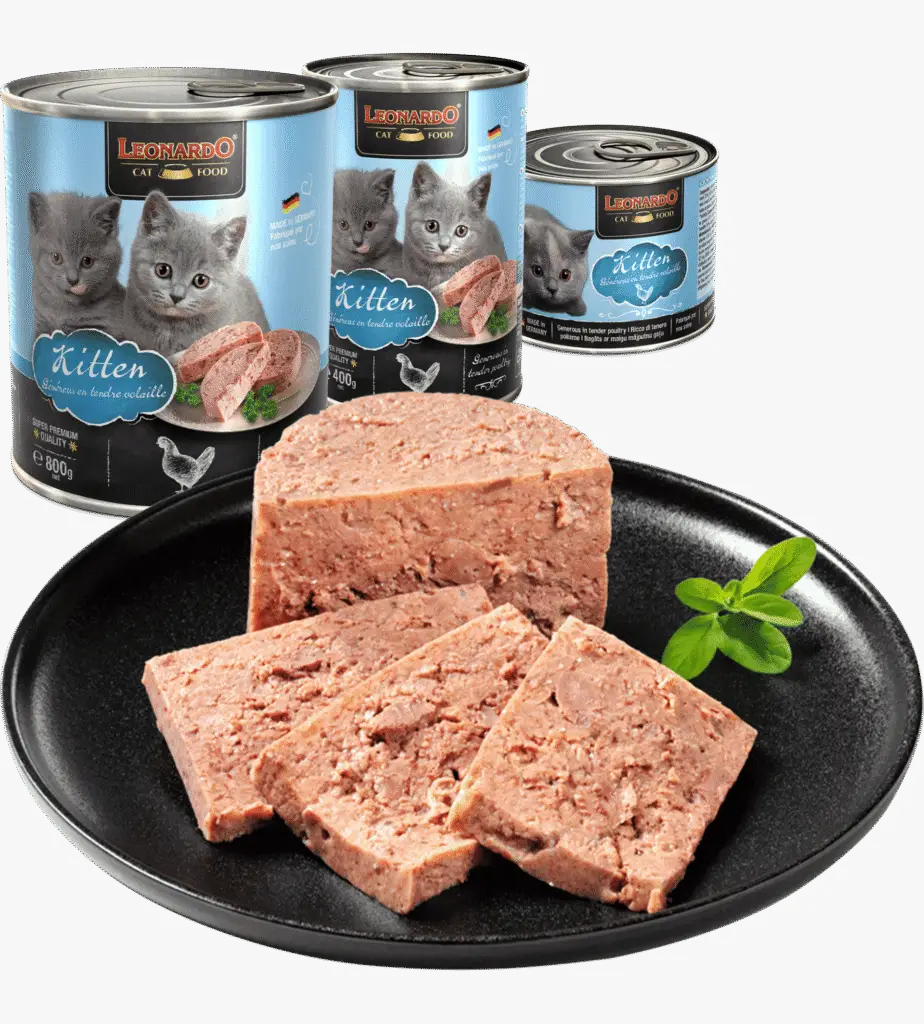 Leonardo Boîte Kitten viande