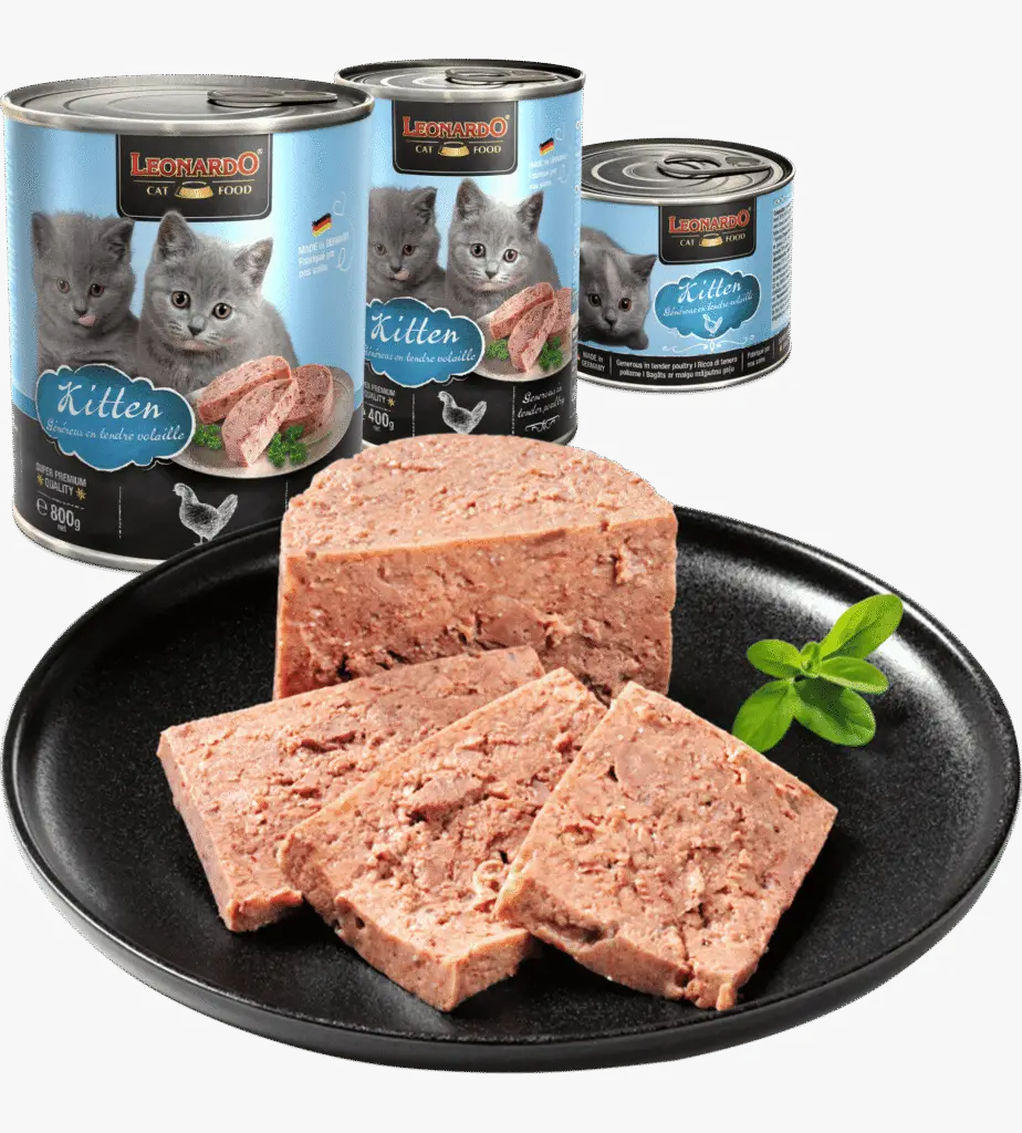 Leonardo Quality Selection Kitten