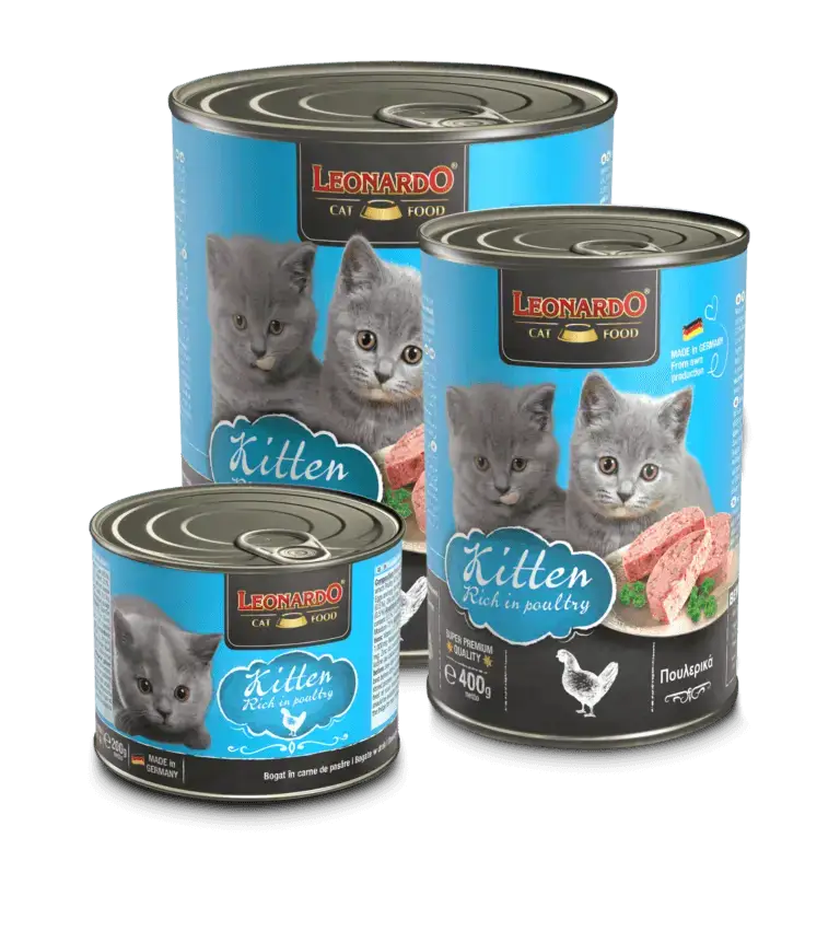 Leonardo Kitten Boîte groupe