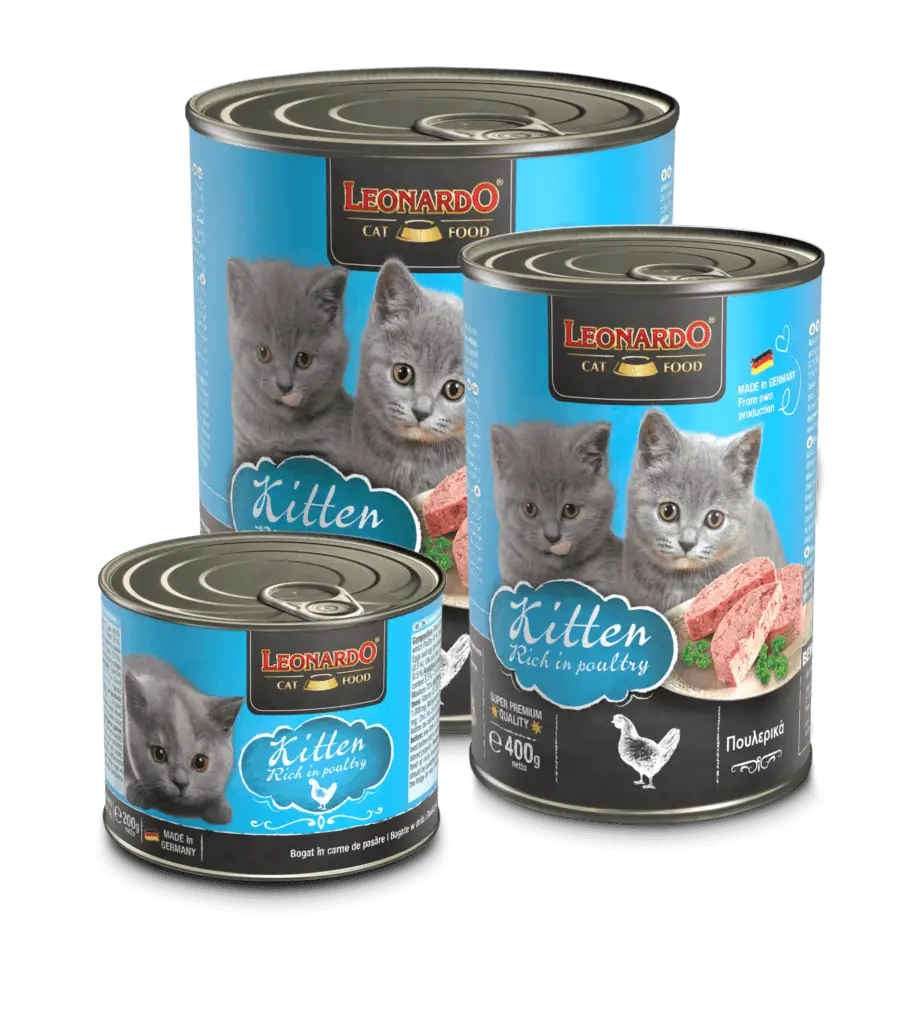 Leonardo Kitten Boîte groupe