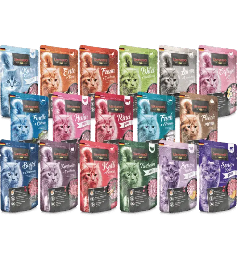 Leonardo Sachet Fraîcheur Groupe