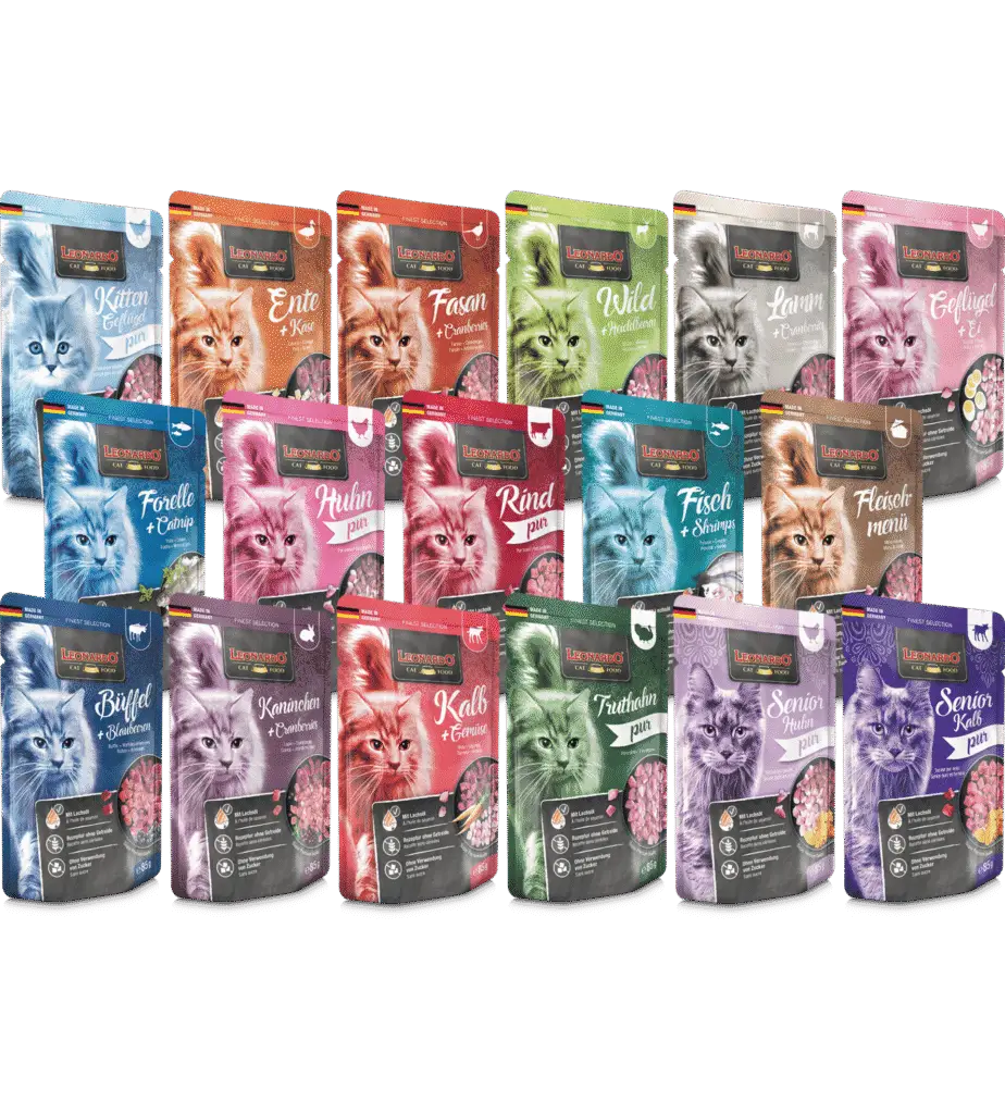 Leonardo Sachet Fraîcheur Groupe