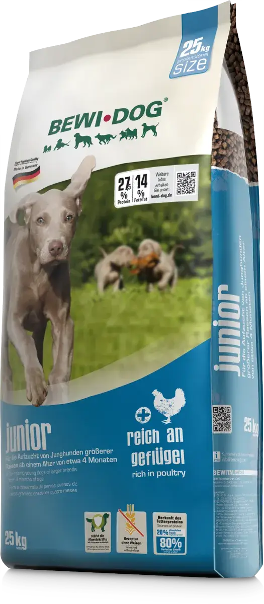 Bewi Dog Junior