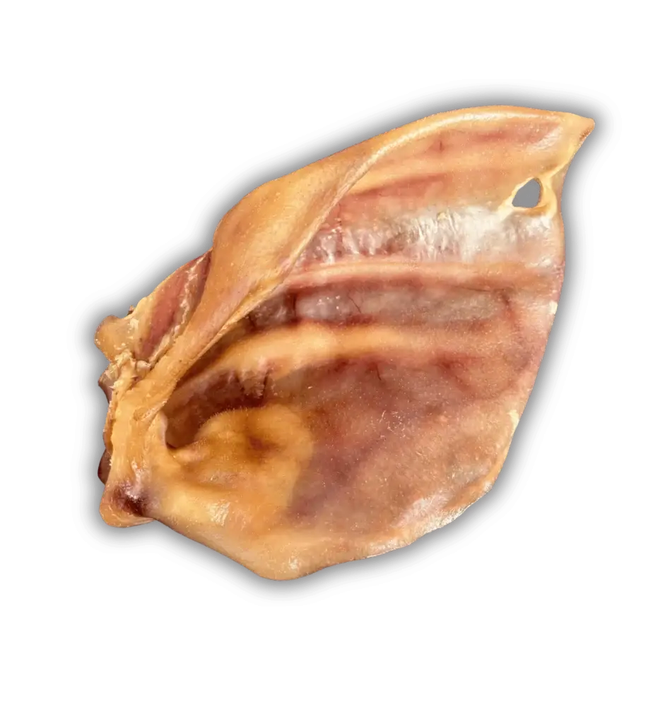 L'Oreille de Porc