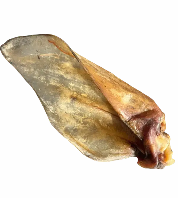 L'oreille de Bœuf
