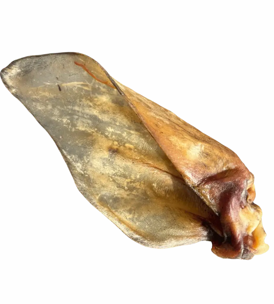 L'oreille de Bœuf