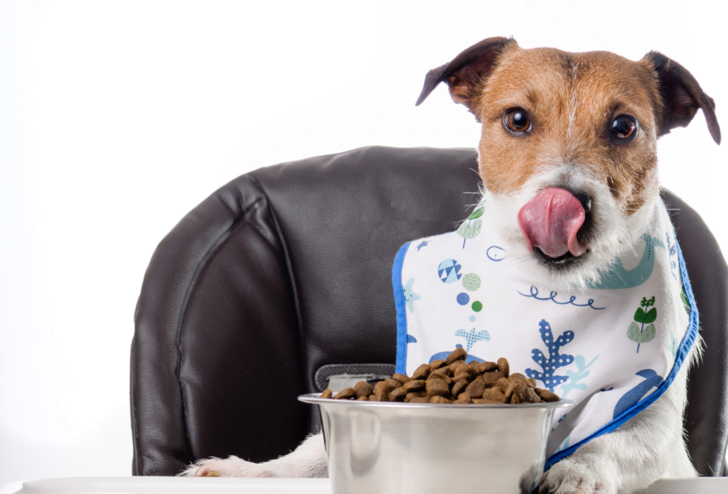 Croquettes pour chien sans céréales