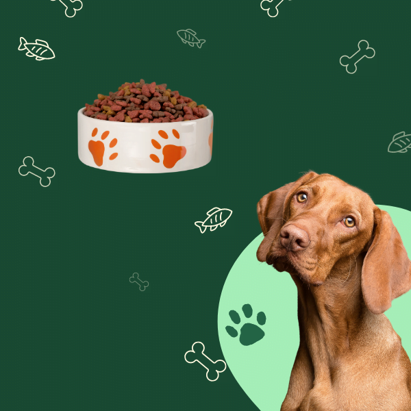 aliments de qualité pour chien