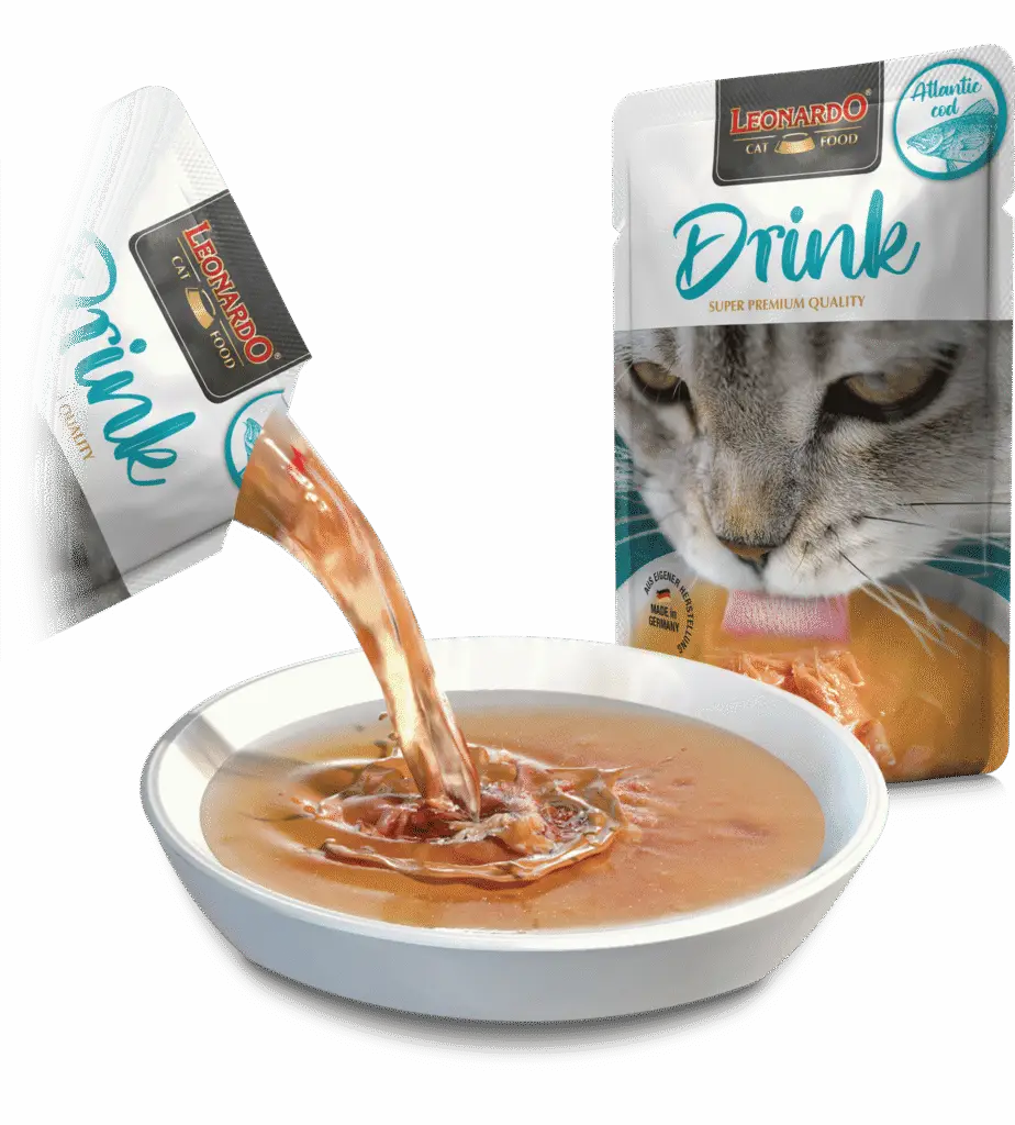 Leonardo Drink Atlantic Cod soupe