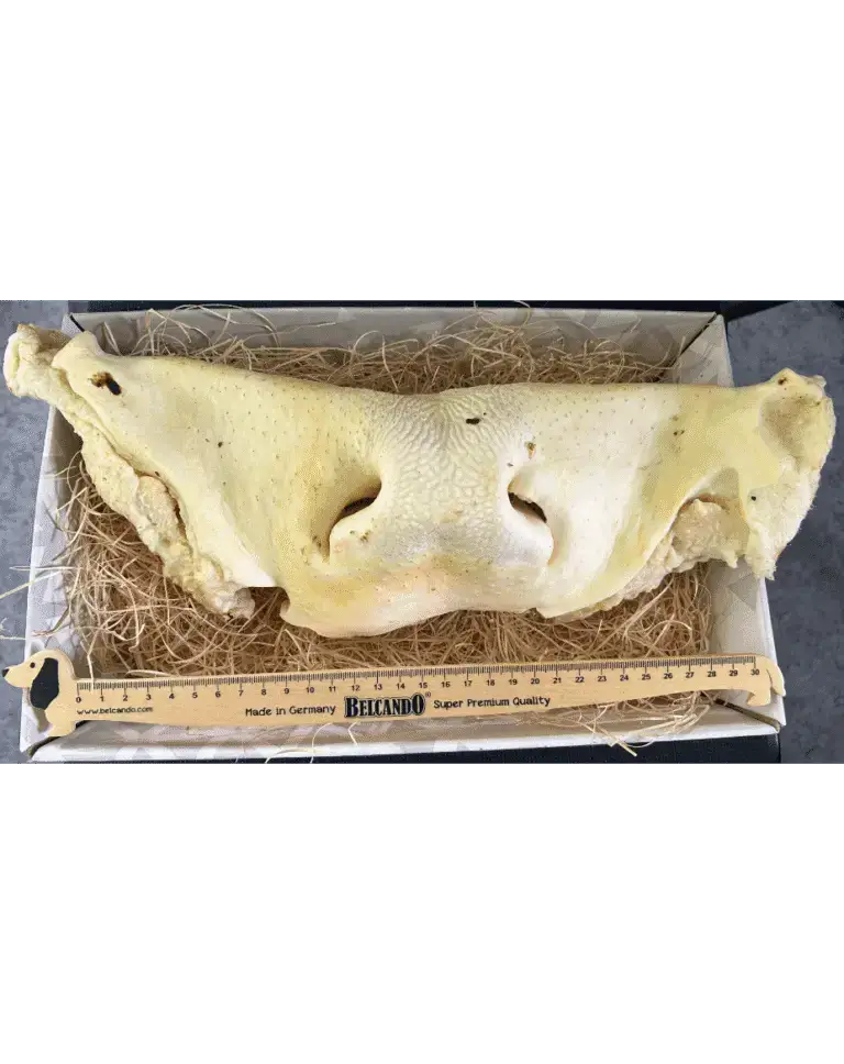 Museau de bœuf soufflé