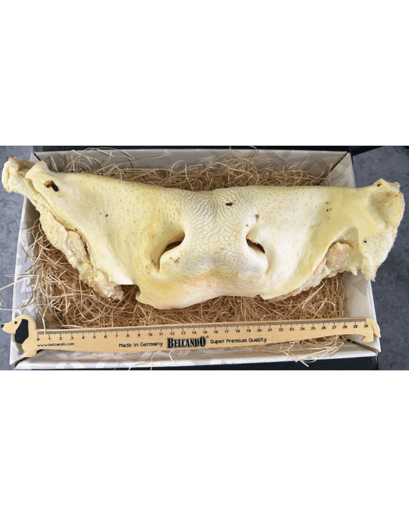 Museau de bœuf soufflé