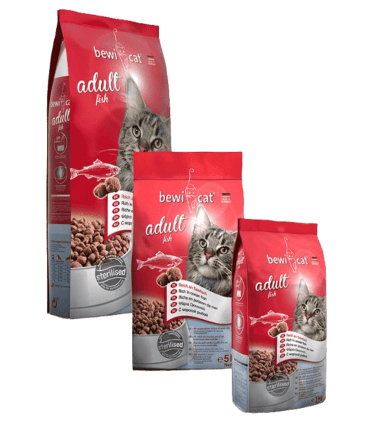 Bewi Cat Poisson groupe