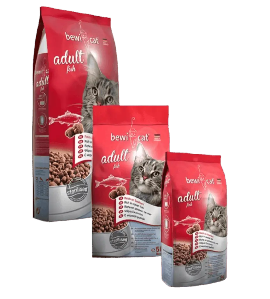 Bewi Cat Poisson groupe