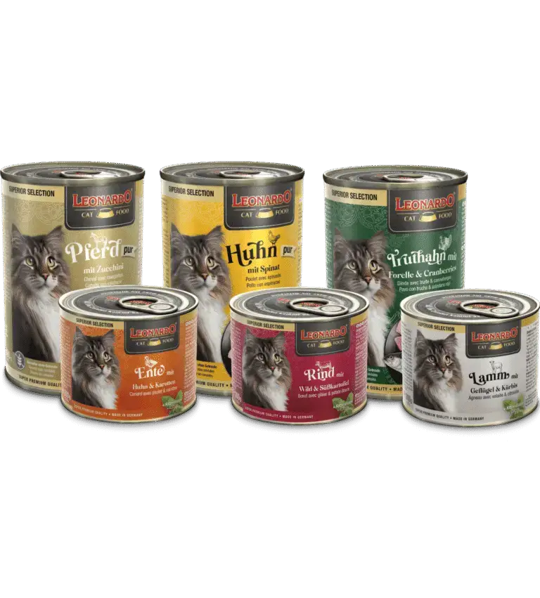 Leonardo Superior Selection Groupe