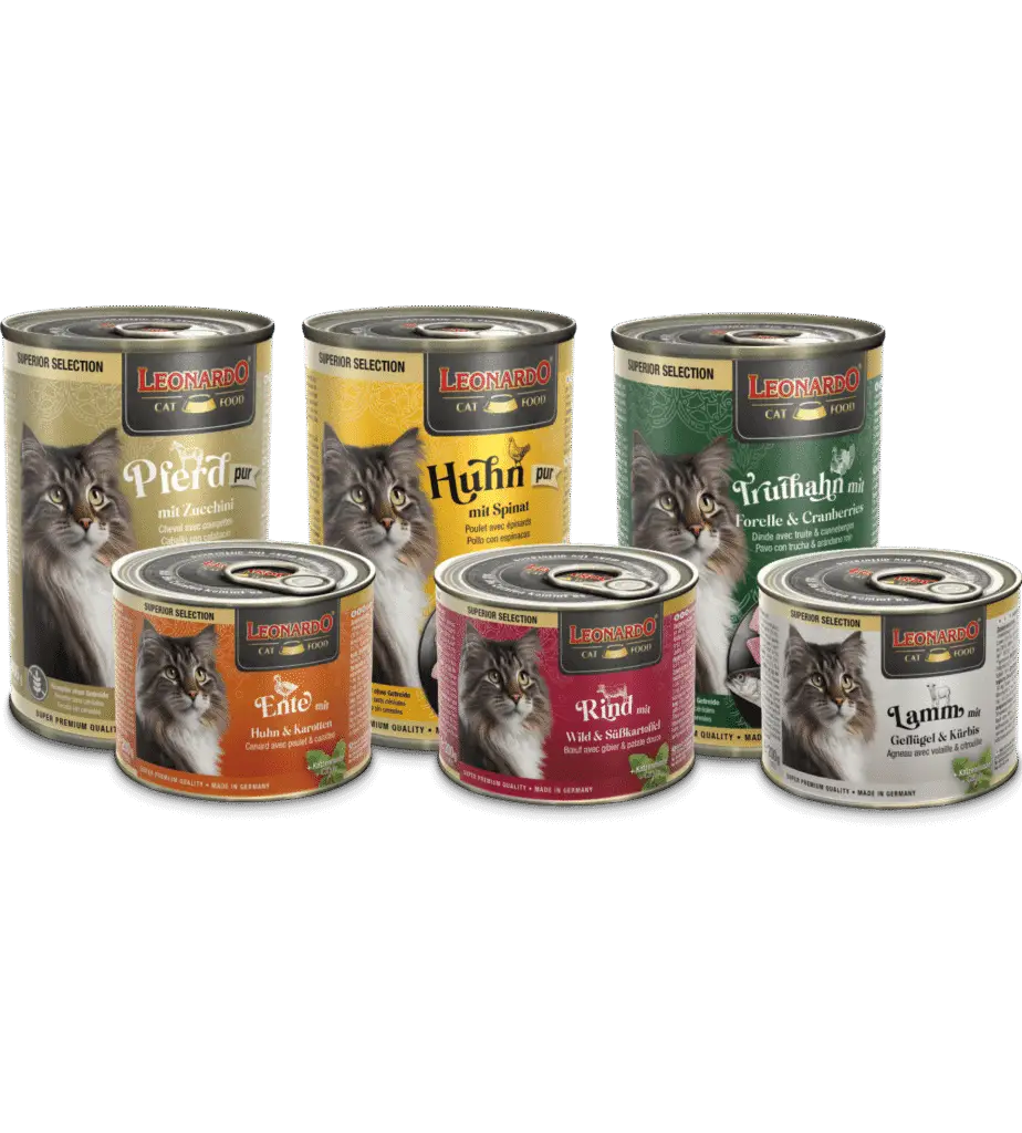 Leonardo Superior Selection Groupe