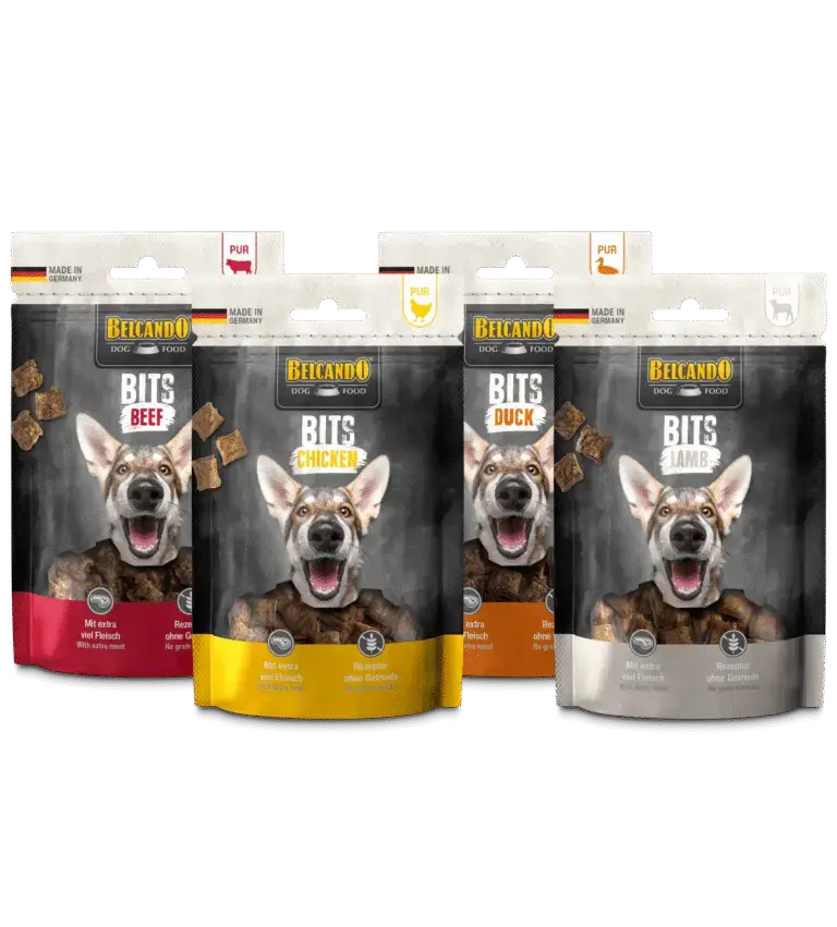 Belcando Bits Groupe