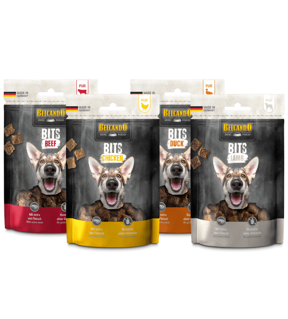 Belcando Bits Groupe