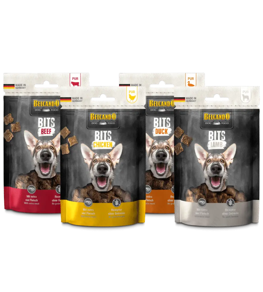 Belcando Bits Groupe