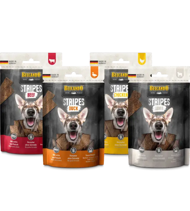 Belcando Stripes Groupe