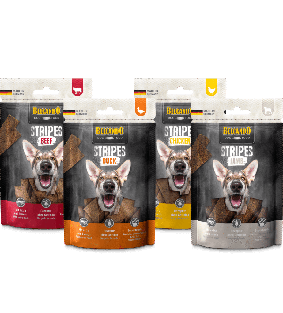 Belcando Stripes Groupe