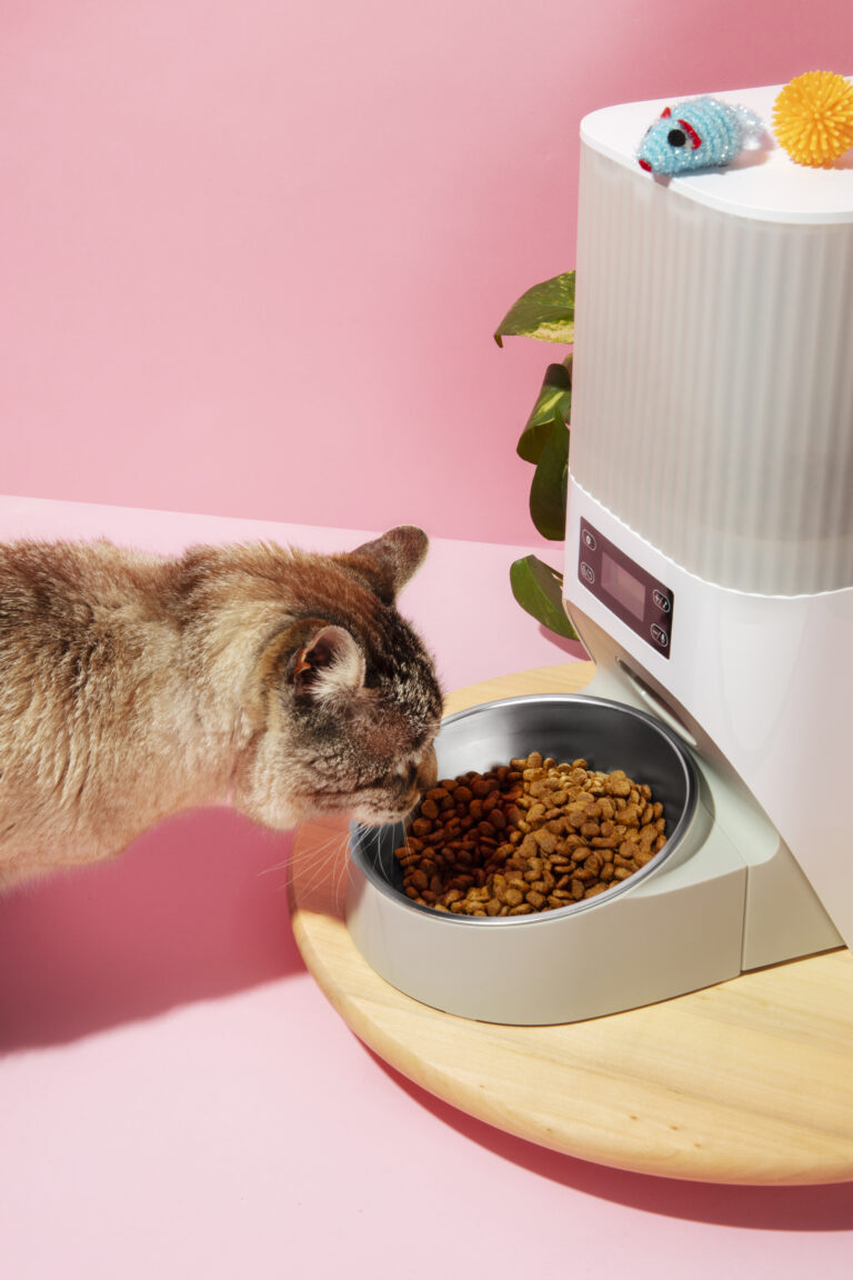Goblet doseur pour nourriture de chatons