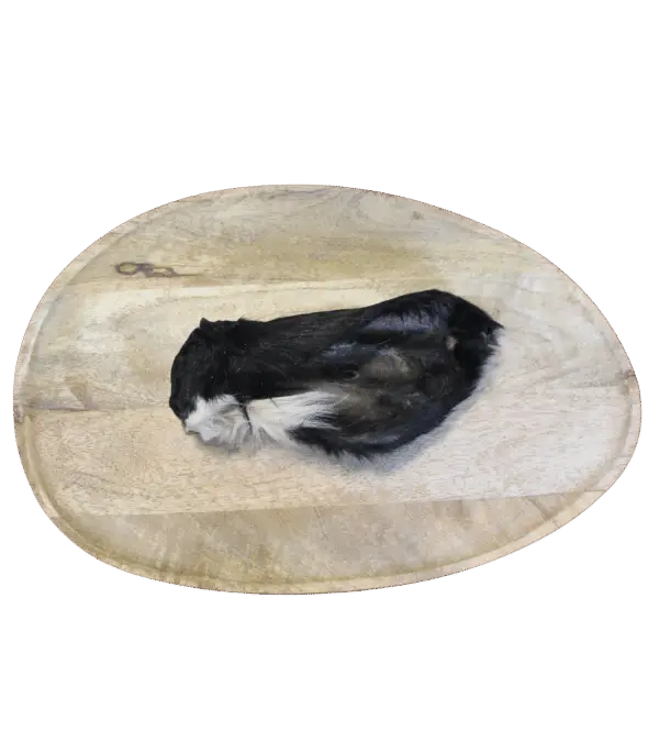 Oreille de bœuf avec poils