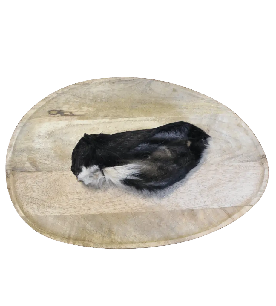 Oreille de bœuf avec poils