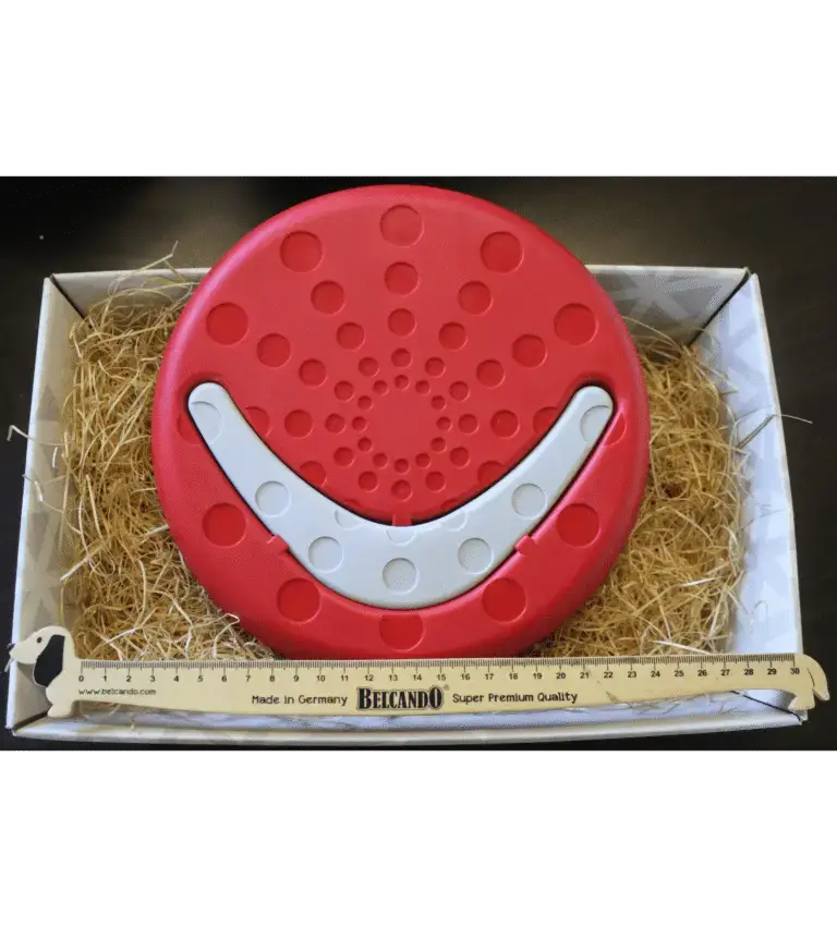 Jouet Frisbee & Boomerang