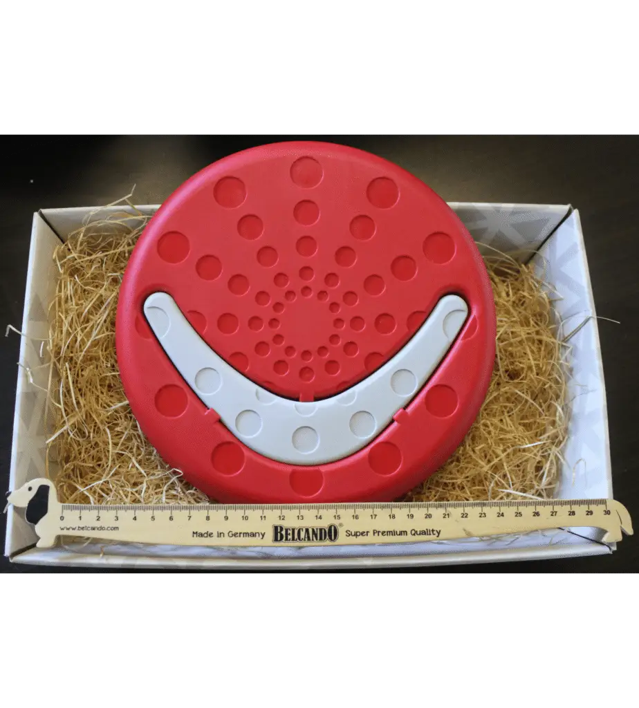 Jouet Frisbee & Boomerang