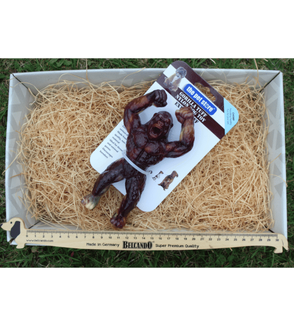 Jouet Gorille Ultra Résistant