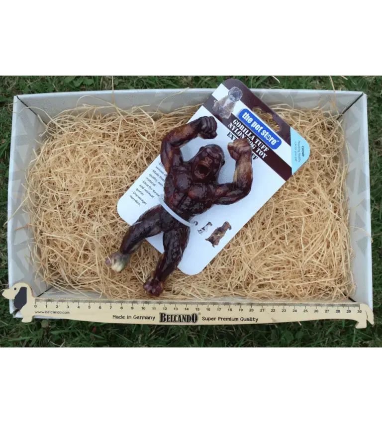 Jouet Gorille Ultra Résistant