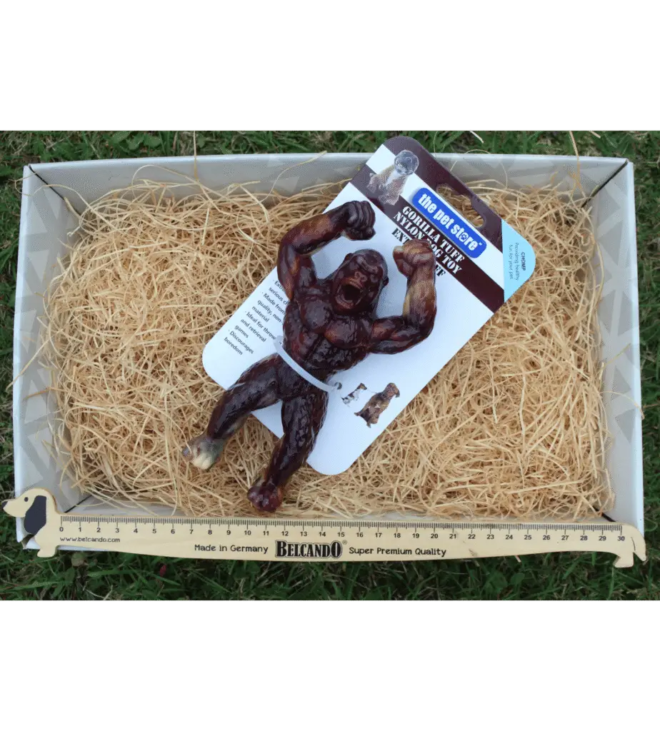 Jouet Gorille Ultra Résistant