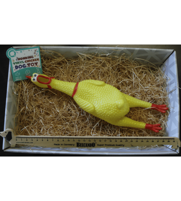 Jouet Poulet Couineur