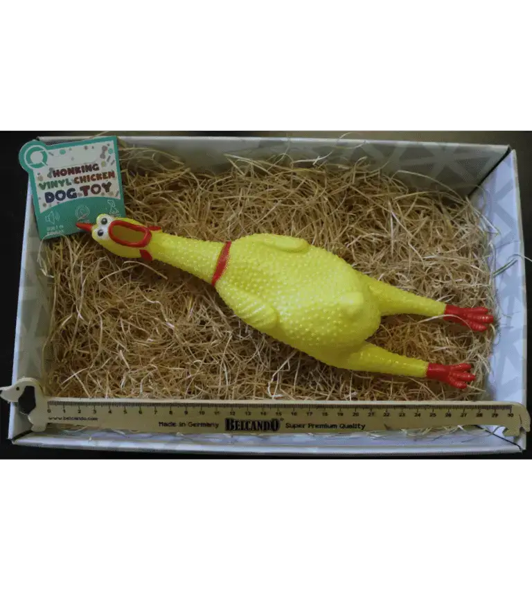 Jouet Poulet Couineur