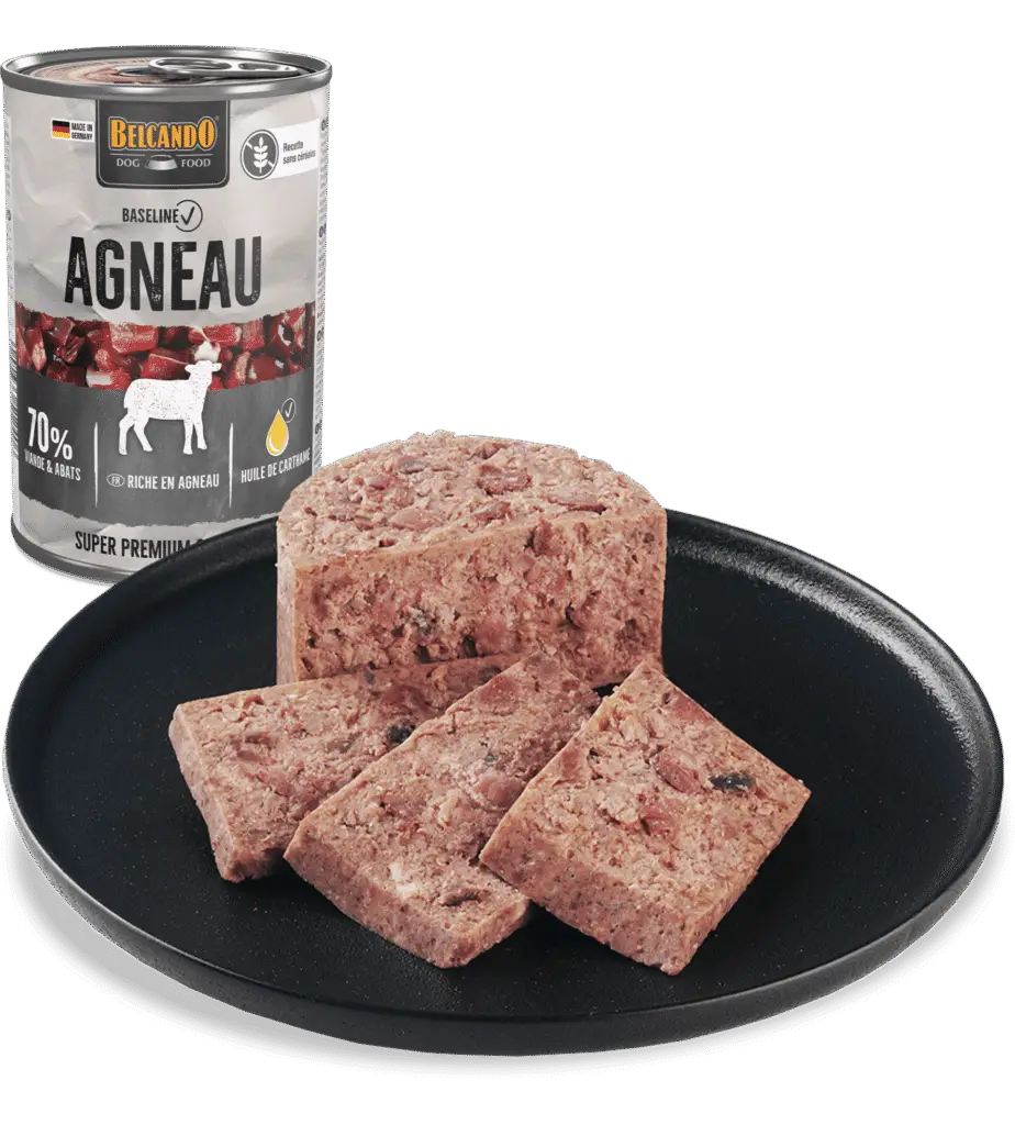Baseline agneau