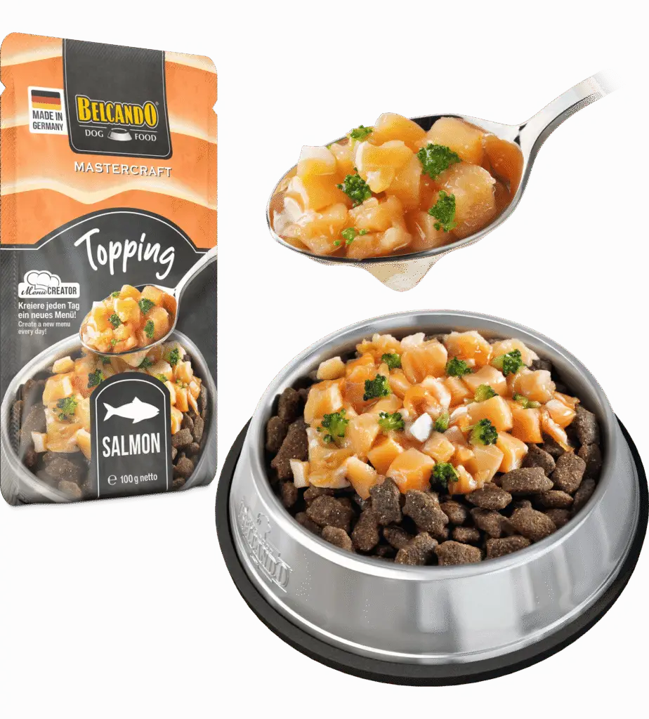 Topping Saumon sauce