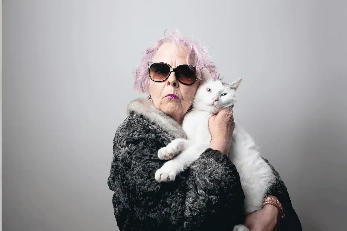 Alimentation du chien et du chat senior : anticiper les besoins