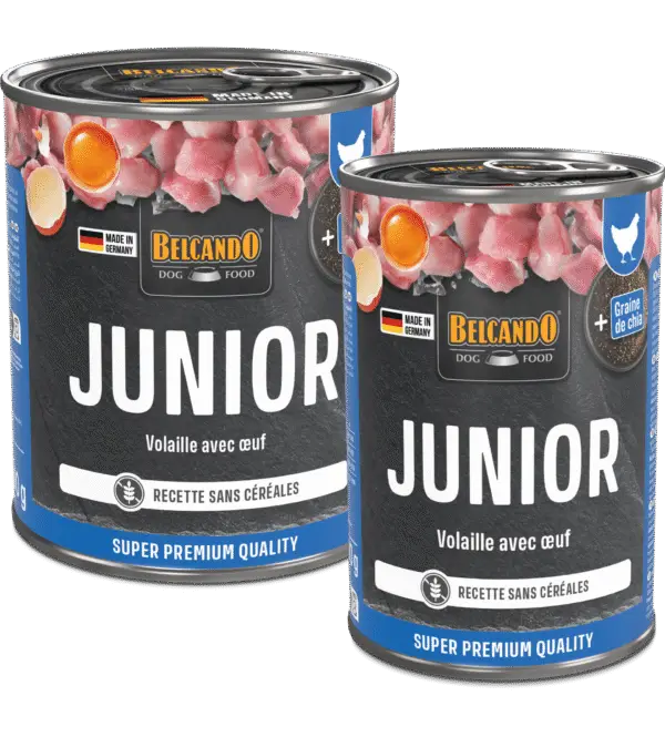 Belcando Boîte Junior Nouveau Packaging