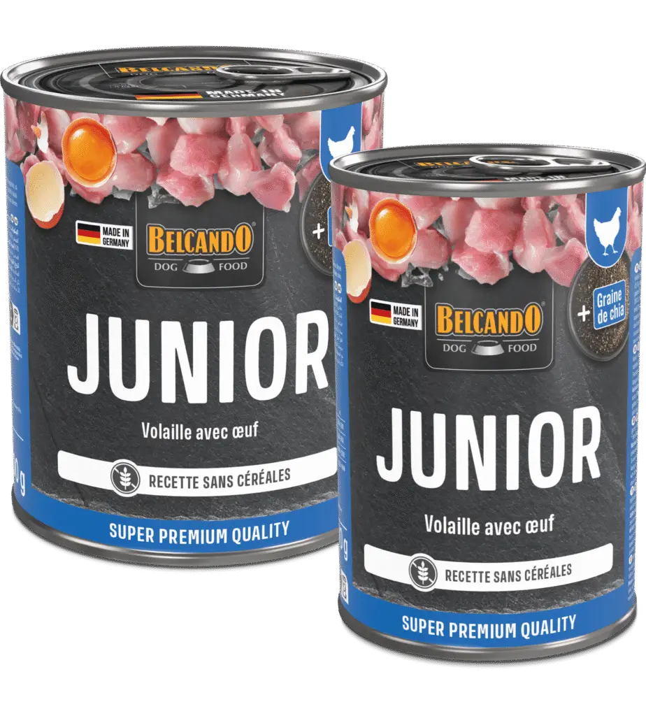 Belcando Boîte Junior Nouveau Packaging