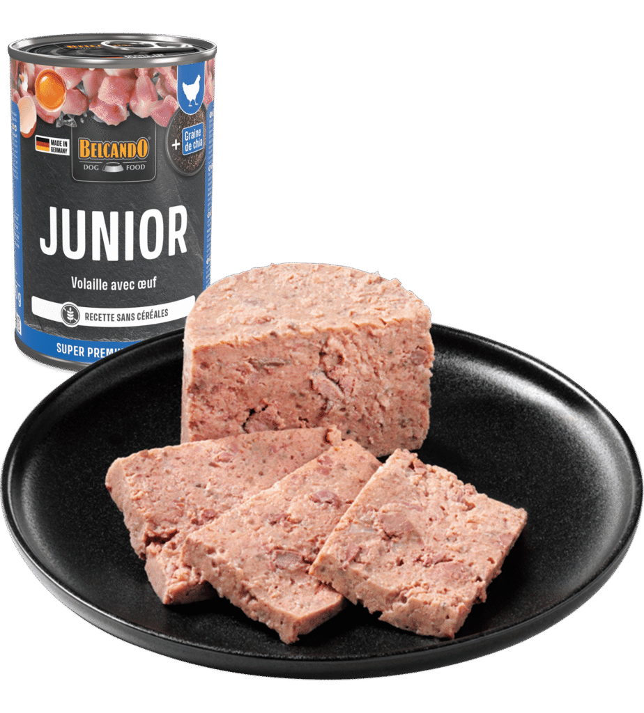 Belcando Boîte Junior Nouveau Packaging viande