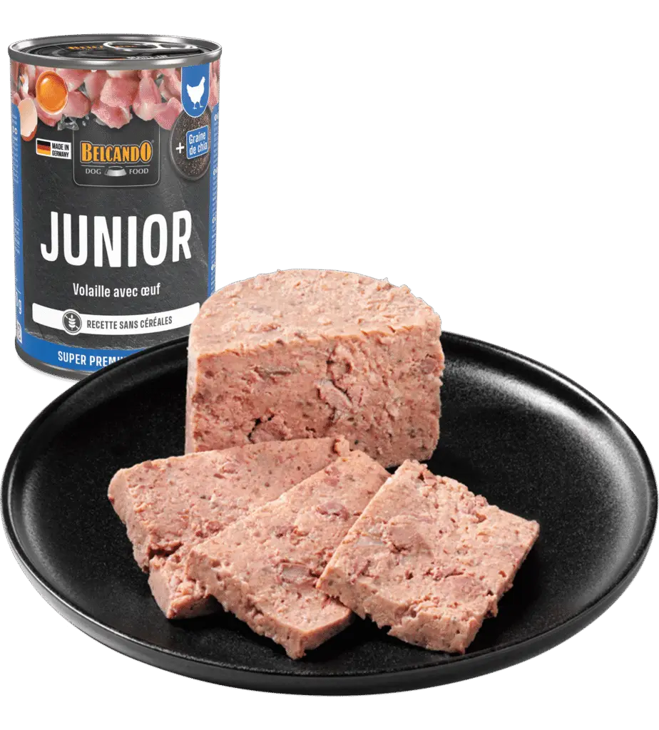 Belcando Boîte Junior Nouveau Packaging viande