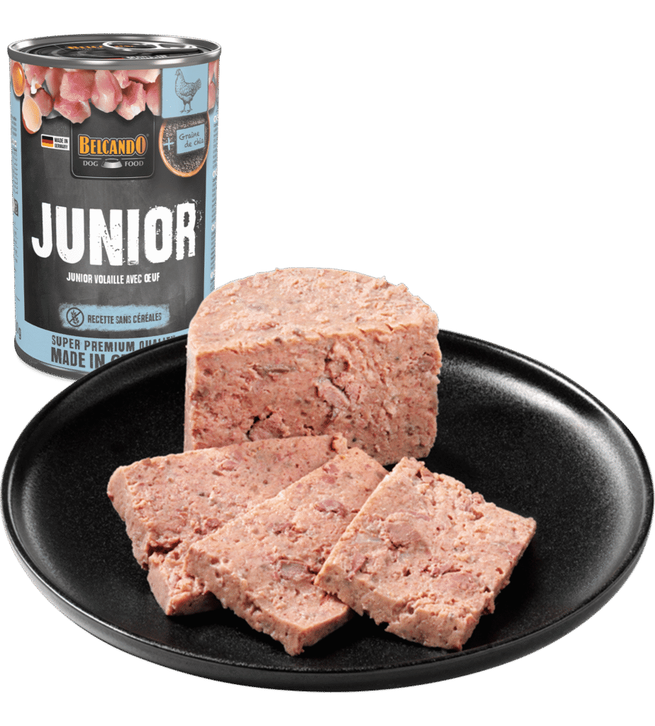 Belcando Quality Selection Junior