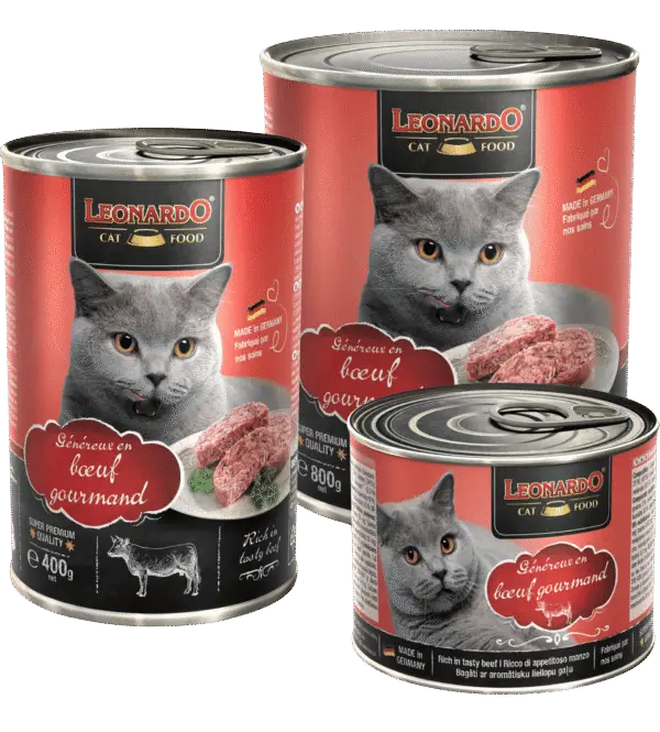 Leonardo Boîte Bœuf trio